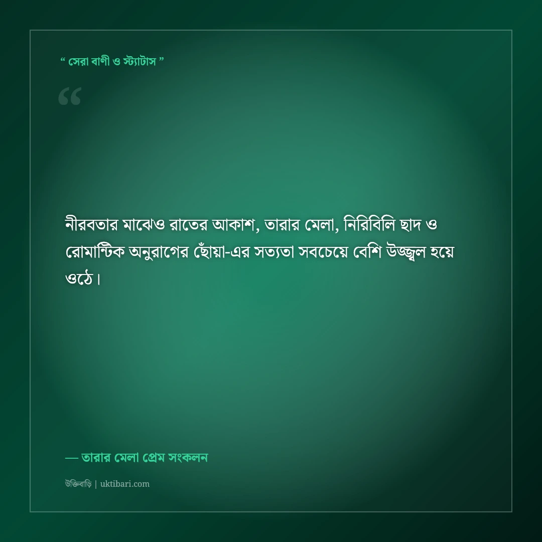 তারার মেলায় প্রিয়জনকে পাশে নিয়ে বসার রোমান্টিক স্ট্যাটাস: মায়াবী রাতের ৫০+ প্রেমের কথা [২০২৬] - তারার মেলা প্রেম সংকলন এর সেরা উক্তি ফটো কার্ড