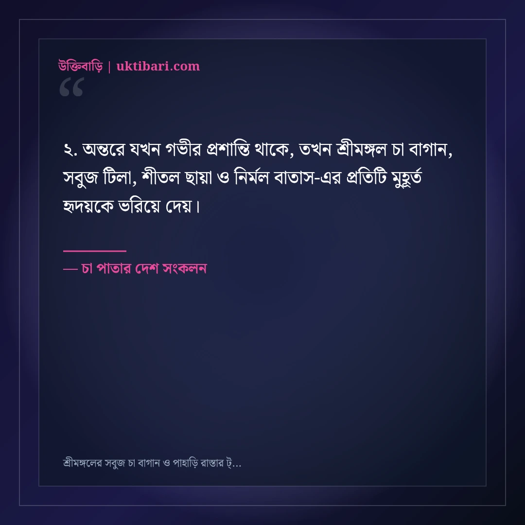 শ্রীমঙ্গলের সবুজ চা বাগান ও পাহাড়ি রাস্তার ট্রাভেল ক্যাপশন: ৫০+ সতেজ ভ্রমণ স্ট্যাটাস [২০২৬] - চা পাতার দেশ সংকলন এর সেরা উক্তি ফটো কার্ড