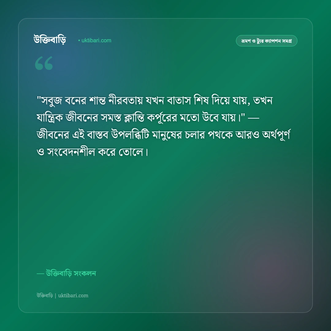 প্রাকৃতিক সৌন্দর্য ও বনের ভ্রমণ ক্যাপশন: সবুজ অরণ্যের মায়ায় ৫০+ স্ট্যাটাস [২০২৬] - উক্তিবাড়ি সংকলন এর সেরা উক্তি ফটো কার্ড