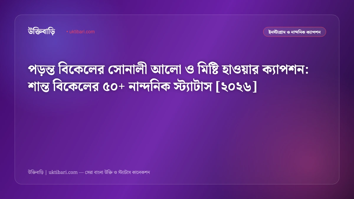 পড়ন্ত বিকেলের সোনালী আলো ও মিষ্টি হাওয়ার ক্যাপশন: শান্ত বিকেলের ৫০+ নান্দনিক স্ট্যাটাস [২০২৬]