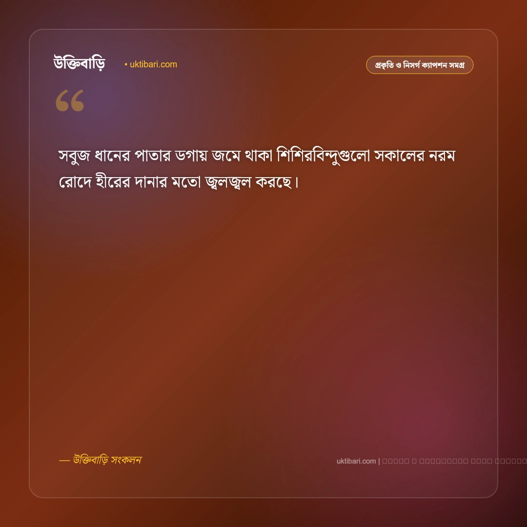 গ্রামের সকাল ক্যাপশন: স্নিগ্ধ ভোর ও পল্লীপ্রকৃতির সেরা ৫০+ নান্দনিক ক্যাপশন [২০২৬] - ফটো কার্ড 3