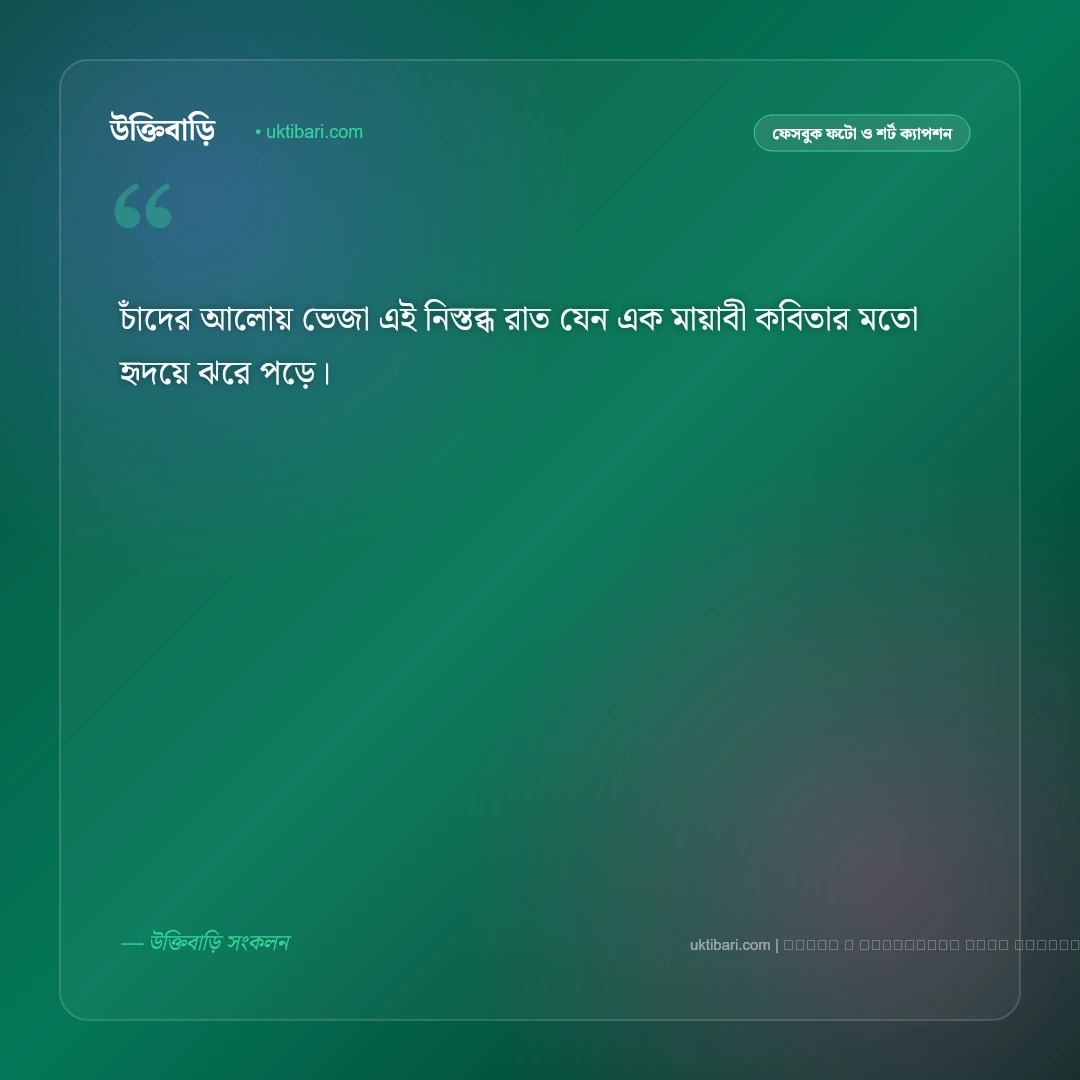 রাত নিয়ে ক্যাপশন: গভীর রাতের অনুভূতি ও একাকীত্বের ৫০+ সেরা ফেসবুক ক্যাপশন [২০২৬] - ফটো কার্ড 3