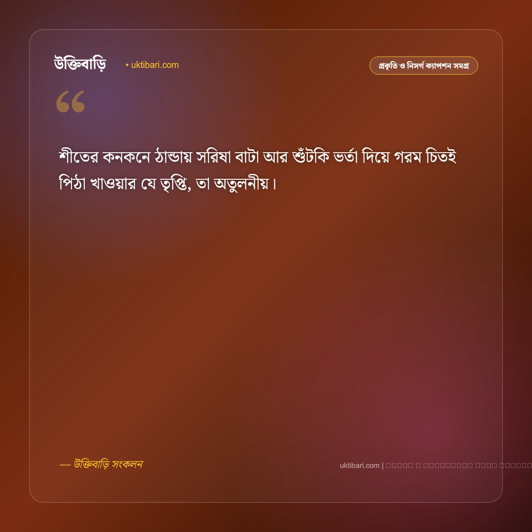 শীত পিঠা নিয়ে ক্যাপশন ও উৎসবের আমেজ [২০২৬] - ফটো কার্ড 3