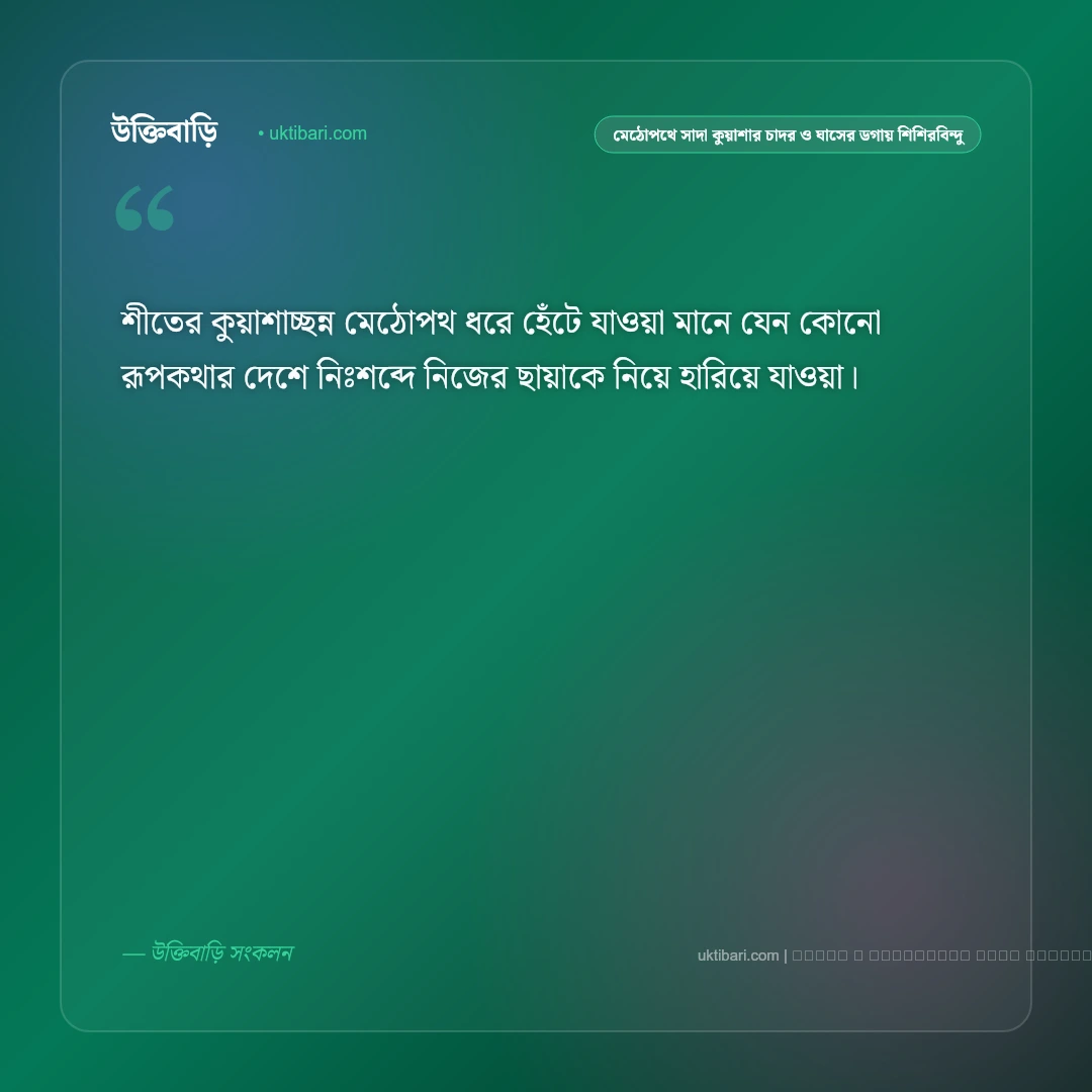 শীতের কুয়াশা ও কুয়াশাচ্ছন্ন স্নিগ্ধ সকালের নান্দনিক ক্যাপশন: ৫০+ শীতের পরশ [২০২৬] - ফটো কার্ড 3