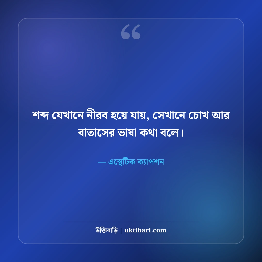 ইনস্টাগ্রাম নান্দনিক ক্যাপশন বাংলা: ছবির সাথে মানানসই সেরা কিউট ও ভাইব ক্যাপশন [২০২৬] - এস্থেটিক ক্যাপশন এর সেরা উক্তি ফটো কার্ড