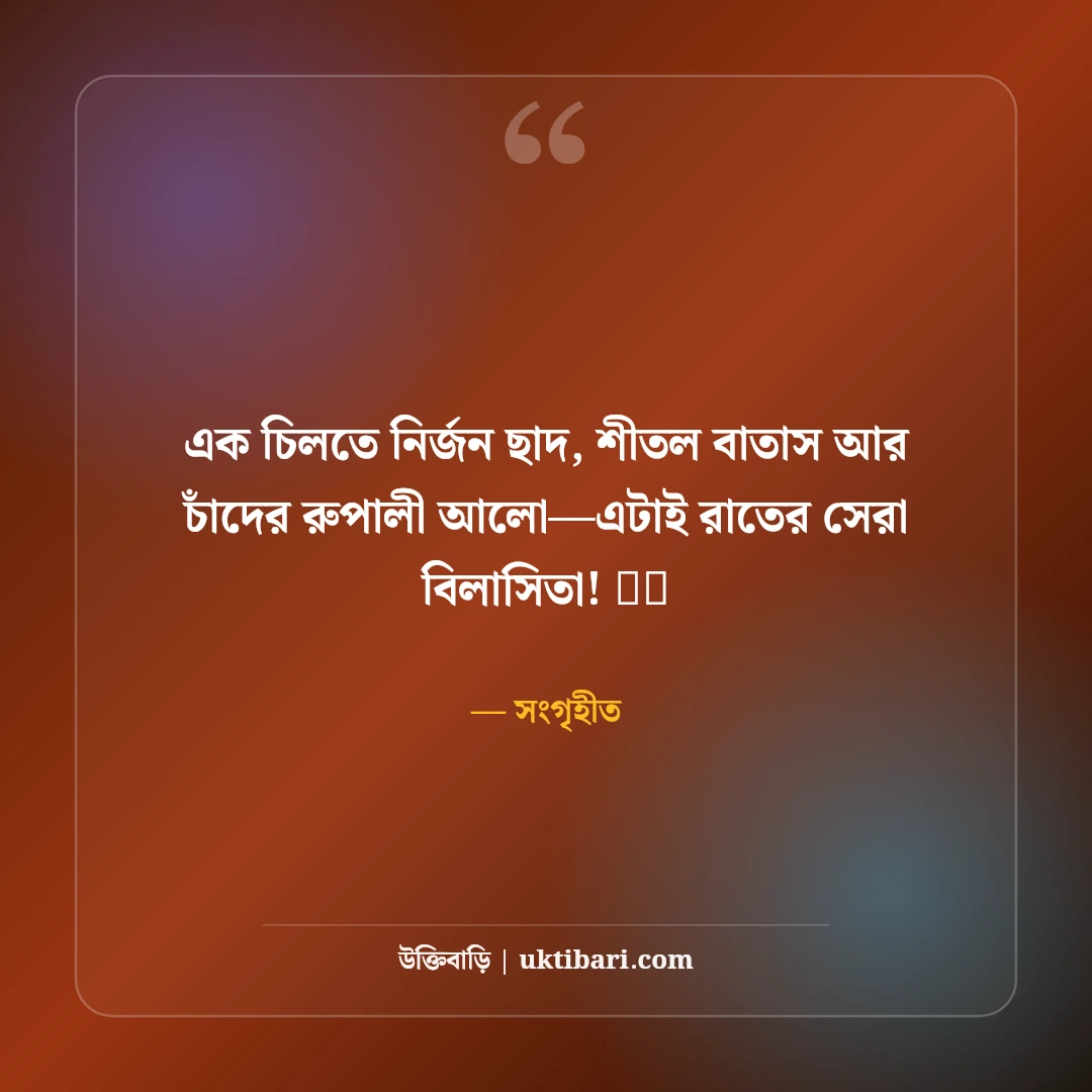 জোছনা রাত ও চাঁদের আলোর নান্দনিক ক্যাপশন: মায়াবী পূর্ণিমার ৫০+ কাব্যিক স্ট্যাটাস - সংগৃহীত এর সেরা উক্তি ফটো কার্ড
