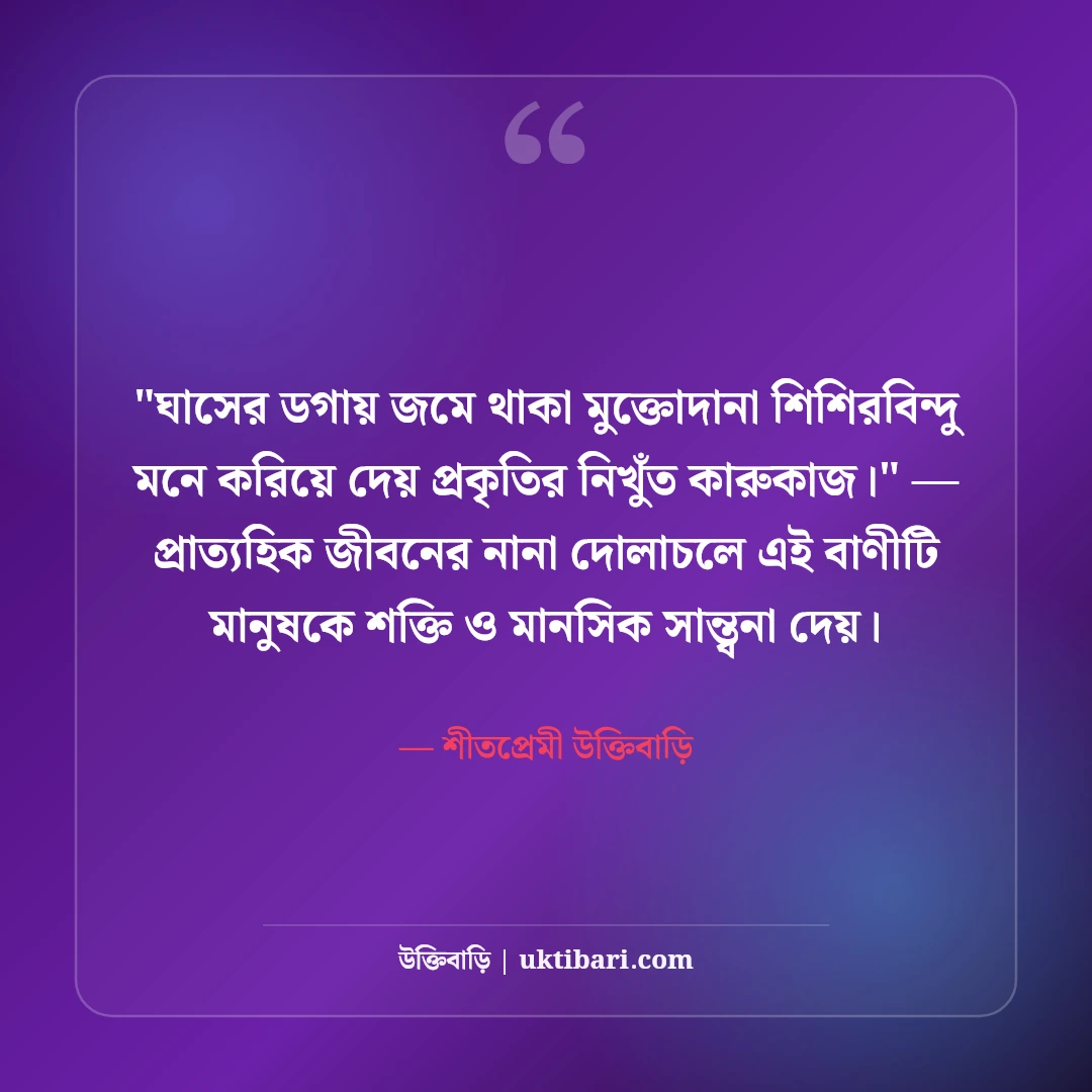 শীতের সকাল ও কুয়াশা নিয়ে ক্যাপশন: মিষ্টি রোদের ৫০+ নান্দনিক স্ট্যাটাস [২০২৬] - শীতপ্রেমী উক্তিবাড়ি এর সেরা উক্তি ফটো কার্ড