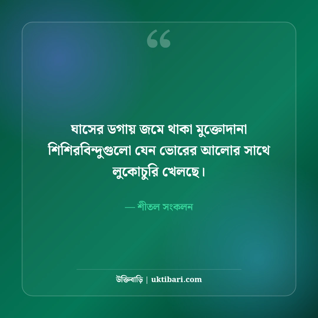 শীতের সকাল ও কুয়াশা নিয়ে রোমান্টিক স্ট্যাটাস: মিষ্টি ঠান্ডার ৫০+ সেরা ক্যাপশন [২০২৬] - শীতল সংকলন এর সেরা উক্তি ফটো কার্ড